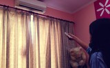 [ẢNH] Những thói quen gây lãng phí điện thường gặp