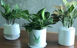[ẢNH] Gợi ý những món quà dành tặng phái đẹp dịp 8-3 chuẩn xu hướng 2020