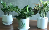 [ẢNH] Gợi ý những món quà dành tặng phái đẹp dịp 8-3 chuẩn xu hướng 2020