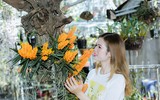 [ẢNH] Những phụ nữ 