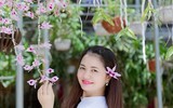 [ẢNH] Những phụ nữ 