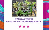 [ẢNH] Những phụ nữ 