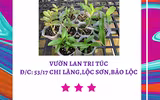 [ẢNH] Những phụ nữ 