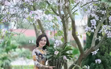 [ẢNH] Những phụ nữ 