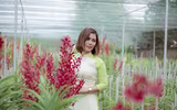 [ẢNH] Những phụ nữ 