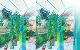 [ẢNH] Những phụ nữ 