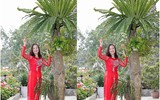 [ẢNH] Những phụ nữ 