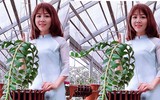 [ẢNH] Những phụ nữ 
