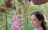 [ẢNH] Những phụ nữ 