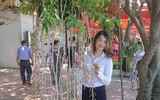 [ẢNH] Những phụ nữ 