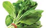 [ẢNH] Những loại thực phẩm giúp tăng cường hệ miễn dịch
