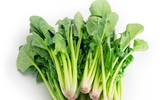 [ẢNH] Những loại thực phẩm giúp tăng cường hệ miễn dịch