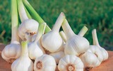 [ẢNH] Những loại thực phẩm giúp tăng cường hệ miễn dịch