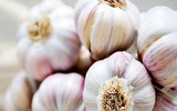 [ẢNH] Những loại thực phẩm giúp tăng cường hệ miễn dịch