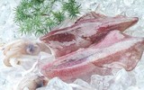 [ẢNH] Những lưu ý khi chế biến hải sản tránh gây ngộ độc