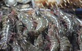[ẢNH] Những lưu ý khi chế biến hải sản tránh gây ngộ độc