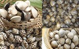 [ẢNH] Những lưu ý khi chế biến hải sản tránh gây ngộ độc