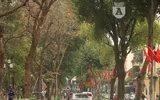 [ẢNH] Lãng mạn Hà Nội mùa cây thay lá