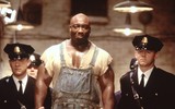 [ẢNH] Tom Hanks: Top 15 phim đưa 