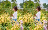 [ẢNH] Những phụ nữ 
