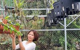 [ẢNH] Những phụ nữ 
