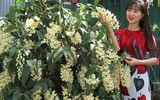 [ẢNH] Những phụ nữ 