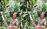 [ẢNH] Những phụ nữ 