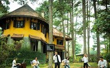 [ẢNH] Cuộc sống của thiếu gia 