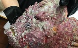 [ẢNH] Những loài động vật xấu xí nhưng có giá cao không ngờ tới