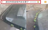 [ẢNH] Vũ Hán đón 
