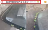 [ẢNH] Vũ Hán đón 