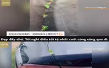 [ẢNH] Vũ Hán đón 