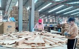 [ẢNH] Những quyền lợi của người lao động khi bị cách ly vì dịch Covid-19