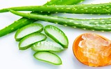 [ẢNH] Những giải pháp tự nhiên giúp điều trị nhiệt miệng cực hiệu quả