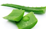 [ẢNH] Những giải pháp tự nhiên giúp điều trị nhiệt miệng cực hiệu quả