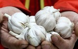 [ẢNH] Những thông tin sai lệch về các bài thuốc chữa Covid-19