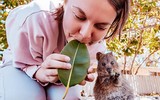 [ẢNH] Top 8 loài động vật sở hữu ngoại hình đáng yêu trên thế giới