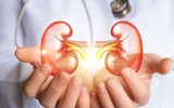 [ẢNH] Những dấu hiệu cảnh báo sớm bệnh sỏi thận bạn nên biết