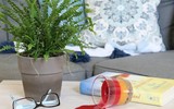 [ẢNH] Khám phá những công dụng bất ngờ của đồ gia dụng