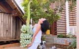 [ẢNH] Sao Việt làm gì trong những ngày nghỉ vì đại dịch Covid-19?
