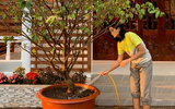 [ẢNH] Sao Việt làm gì trong những ngày nghỉ vì đại dịch Covid-19?