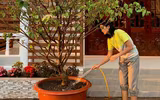 [ẢNH] Sao Việt làm gì trong những ngày nghỉ vì đại dịch Covid-19?