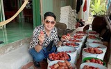 [ẢNH] Sao Việt làm gì trong những ngày nghỉ vì đại dịch Covid-19?