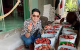 [ẢNH] Sao Việt làm gì trong những ngày nghỉ vì đại dịch Covid-19?