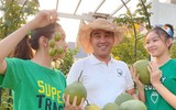 [ẢNH] Sao Việt làm gì trong những ngày nghỉ vì đại dịch Covid-19?