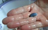 [ẢNH] Những điều 