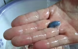[ẢNH] Những điều 