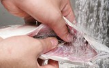 [ẢNH] Khám phá những mẹo vặt từ bia, rượu có thể bạn chưa biết