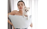 [ẢNH] Mỹ nhân Việt nóng bỏng 