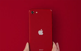 [ẢNH] Những thông tin thú vị về chiếc iPhone SE 2020 